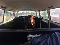 1971 Deluxe Bus - Final Photos