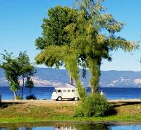 The Toaster at "Camp & Shine" Lakeport, CA Sat. June 16th, 2018