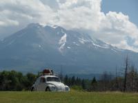 Road trip Betty 1966 Beetle Pearl White