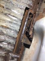 Rust