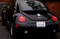 New Turbo Beetle