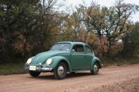 November autumn drive