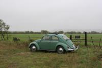 November autumn drive