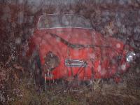 Rusty Ghia in the fog