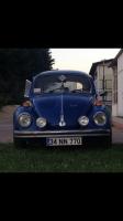 Vw bug vospital awcigarage type3 Vw bug vospital awcigarage type3 notchback Alper Avcı Vw Petri vw1302s notchback Alper Avcı