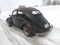 '52 Crotch Cooler - Winter is over, time to go drive