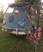 Evening Springtime Drive