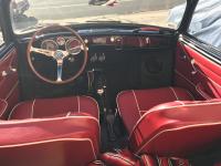 65 convertible ghia out of hibernation