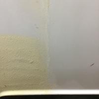 Easy off paint removal