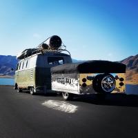 59' Mango with Heilite