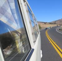 Split Buses at the "SHE-852 Pt. Reyes Cruise", California. Sunday Oct. 20th, 2019