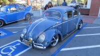 Bugs at the "SHE-852 Pt. Reyes Cruise", California. Sunday Oct. 20th, 2019