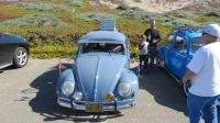 Bugs at the "SHE-852 Pt. Reyes Cruise", California. Sunday Oct. 20th, 2019