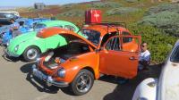 Bugs at the "SHE-852 Pt. Reyes Cruise", California. Sunday Oct. 20th, 2019