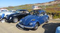 Bugs at the "SHE-852 Pt. Reyes Cruise", California. Sunday Oct. 20th, 2019