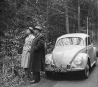 Vintage VW split windoe photo