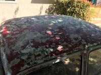 1966 Volkswagen Notchback