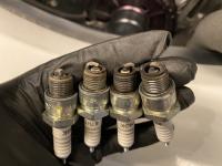 Buddy maintenance day