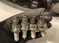 Buddy maintenance day