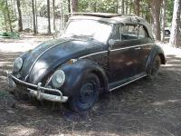 1964 Convertible Beetle