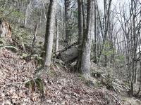 Rusty Bug with iron cross abandoned on local mountain
