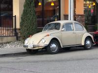 1970 tan standard beetle stolen in castro valley ca. USA 3/27/2020