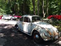 CVA 7th annual Frog Rock gathering