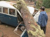 Bus extraction