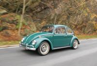 VWs on Classic VW Bugs' Foliage Tour, Oct. 24 2020