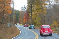 VWs on Classic VW Bugs' Foliage Tour, Oct. 24 2020