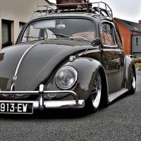 Beetle Respray