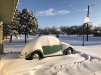 Texas winter