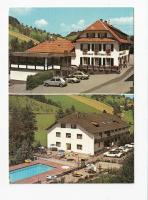 Porsche and Beetle in Prinzbach