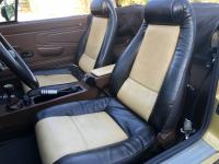 1981 Puma GTC