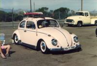 Ragtop Bug