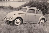 Oval Window Ragtop