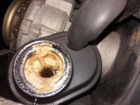 oil cream on 1600i Mexibug