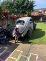 My New 1954 Oval