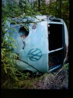 1958 Forest Find...