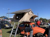 Dog in roof tent
