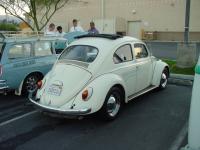 Hector's 63 beetle