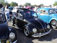 Ragtop Beetle