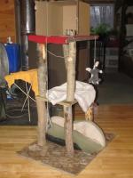 cat tower