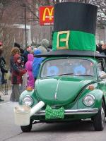 beetle on parade