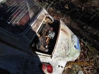Old 66 bug in farmers field