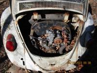 Old bug in farmers field