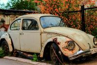 Rusty Bug