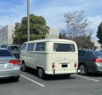 In the Wild at Costco in Santee, CA