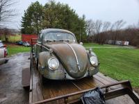 1956 beetle