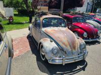 Ragtop Bugs at Kelly Park 2024